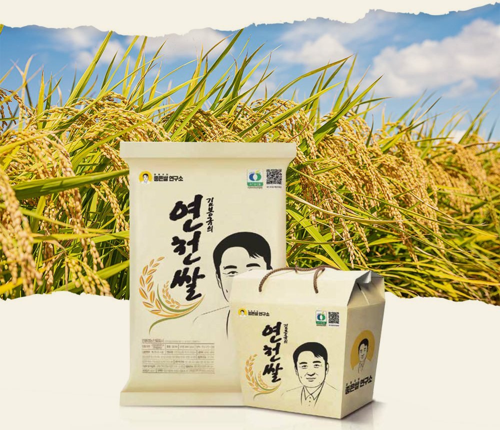 황금 들판 앞 김봉규의 연천쌀 포대와 선물 상자