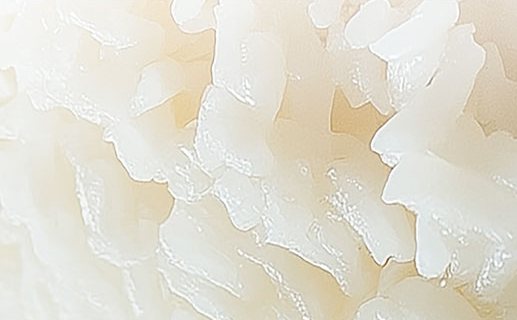 설향찰 찰밥