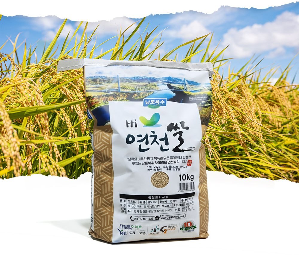 황금 들판 앞 설향찰 찰현미 포대(Hi 연천쌀 남토북수)