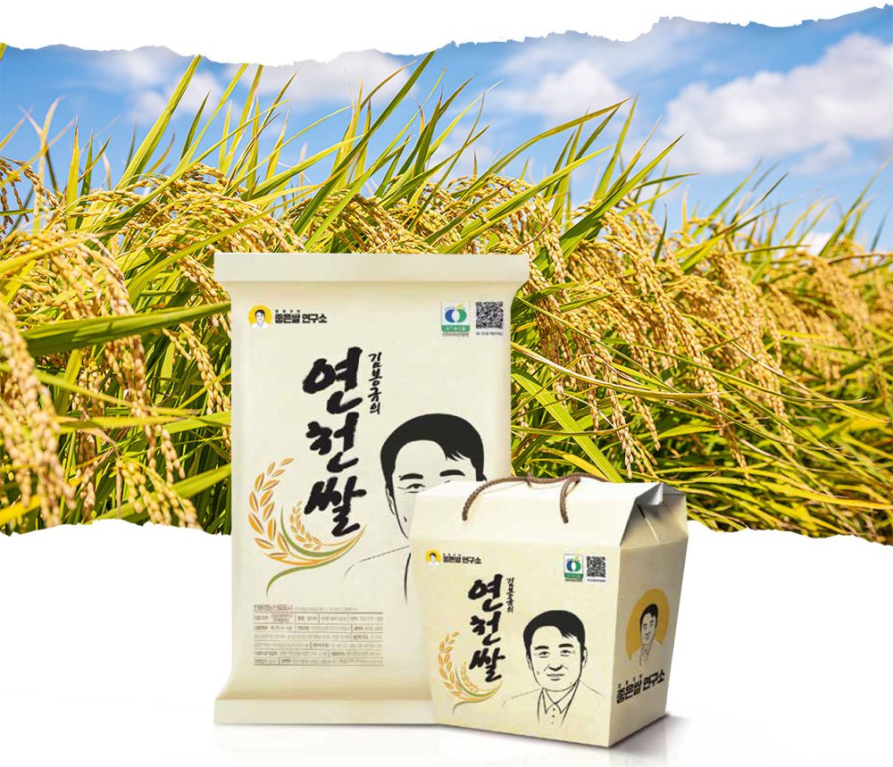 황금 들판 앞 김봉규의 연천쌀 포대와 선물 상자