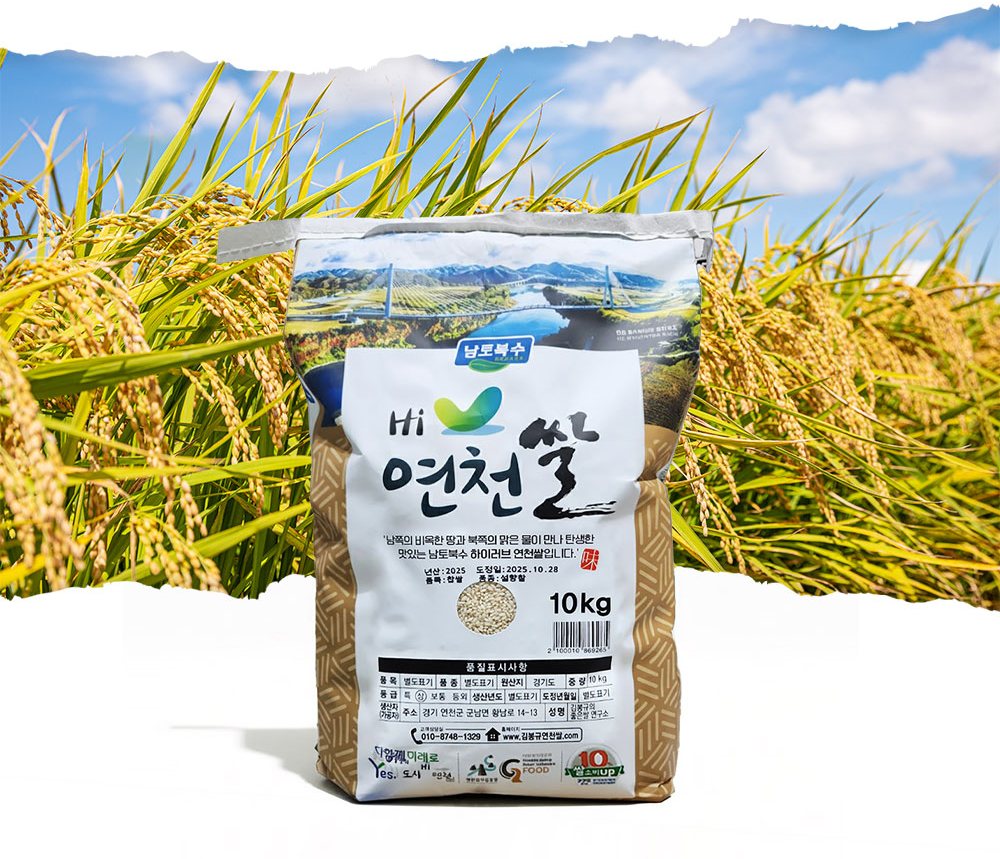 황금 들판 앞 설향찰 찹쌀 포대(Hi 연천쌀 남토북수)